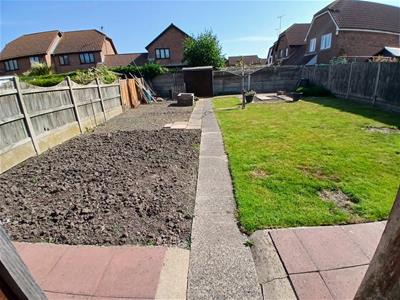 Picture 19